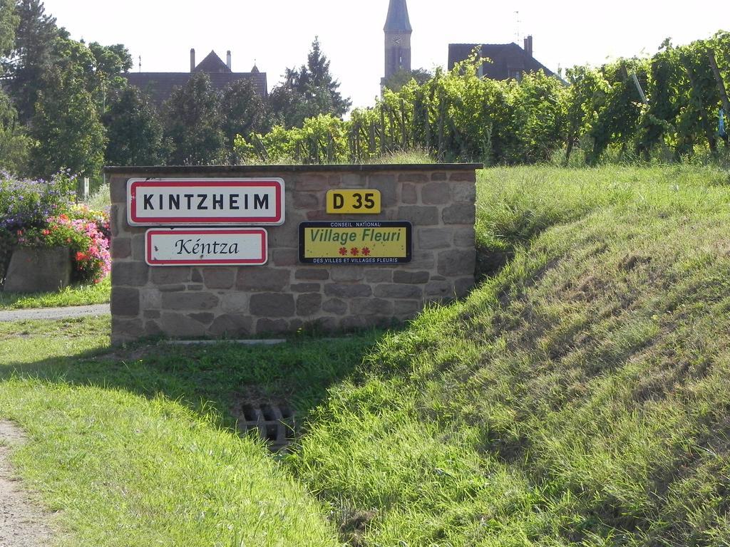 Villa Le Nid de Cigognes Kintzheim Chambre photo